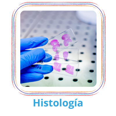 Histología productos para laboratorio