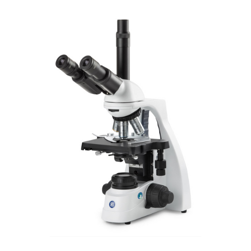 Microscopio trinocular, oculares HWF 10x/20 mm y revólver quíntuple con objetivos IOS con corrección infinita de aceite plan PLi 4/10/S40/S100x